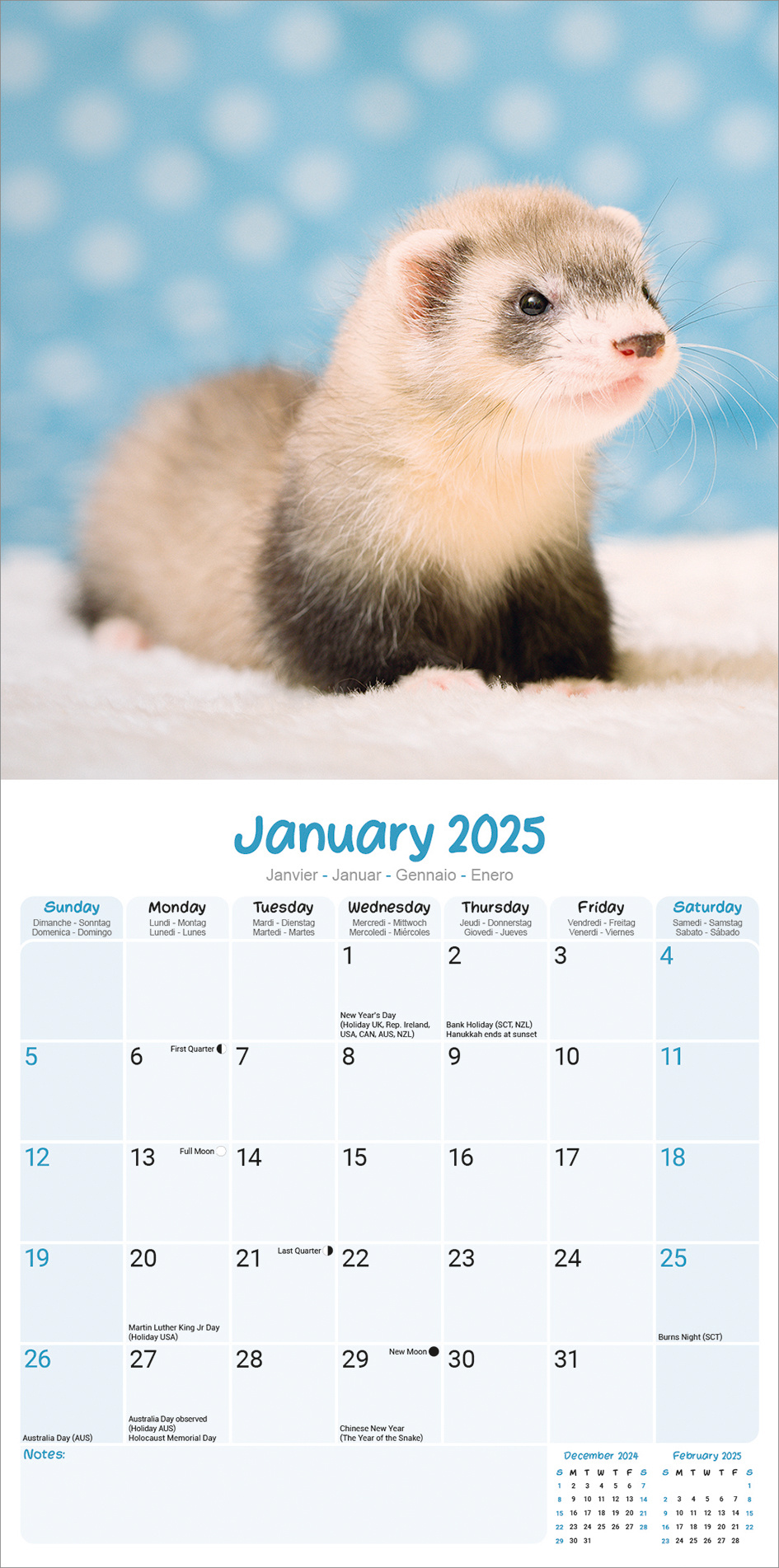 Buying a Ferret Calendar 2025 simply order online Kalenderwinkel.nl