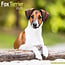 Avonside Fox Terrier Kalender 2025