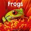 Avonside Frog Calendar 2025