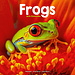 Avonside Frog Calendar 2025