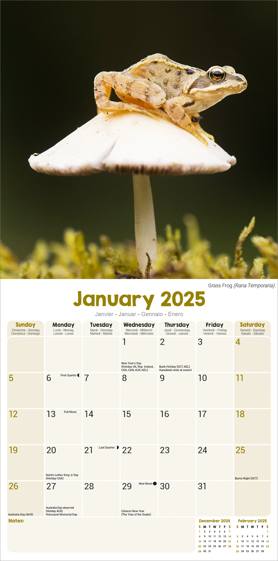 Acheter le Calendrier Grenouille 2025 commander simplement en ligne