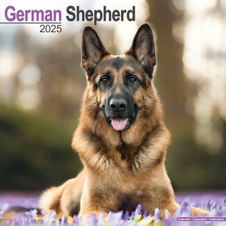 Avonside Calendario del pastore tedesco 2025