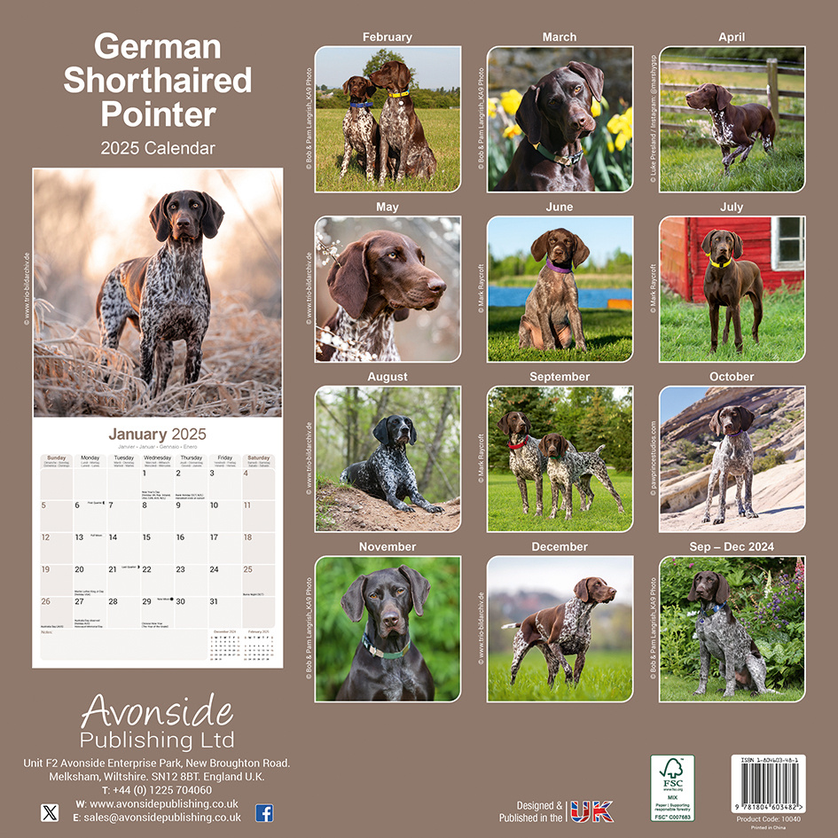 Buy German Standing Calendar 2025 | Order easily online - Kalenderwinkel.nl