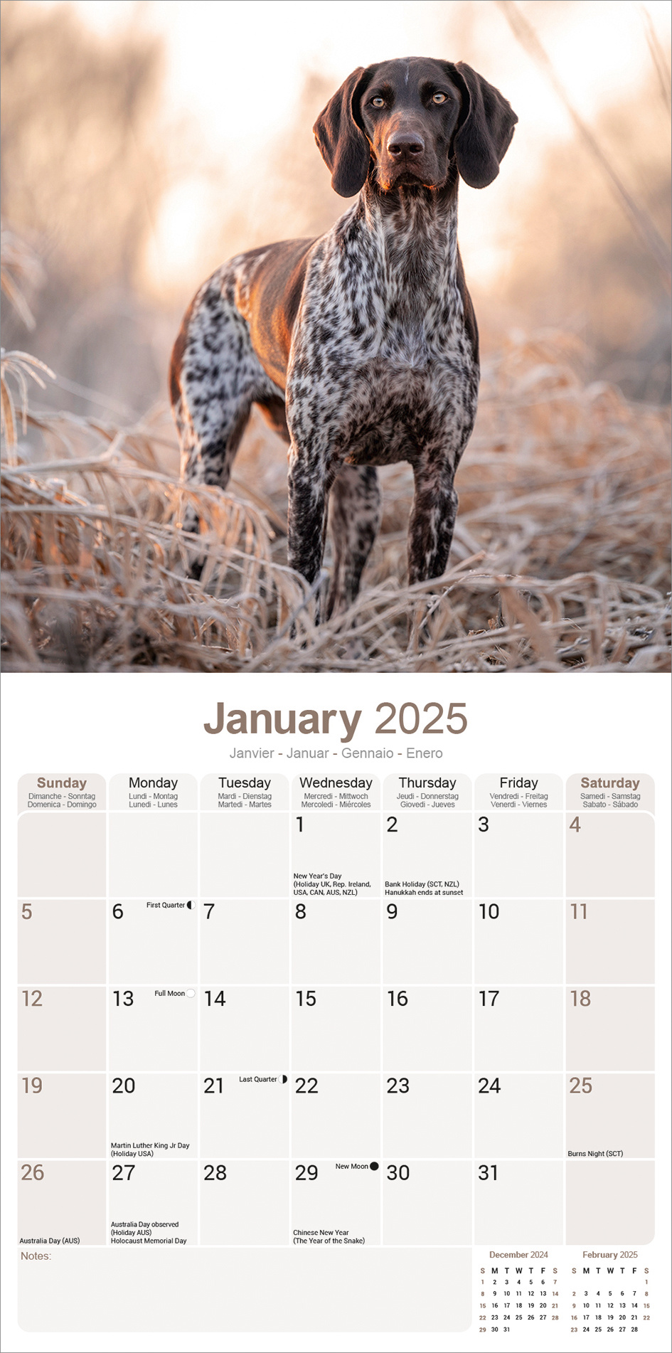 Duitse Staande Kalender 2025 Kopen? Bestel eenvoudig Online