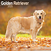 Avonside Golden Retriever Calendar 2025