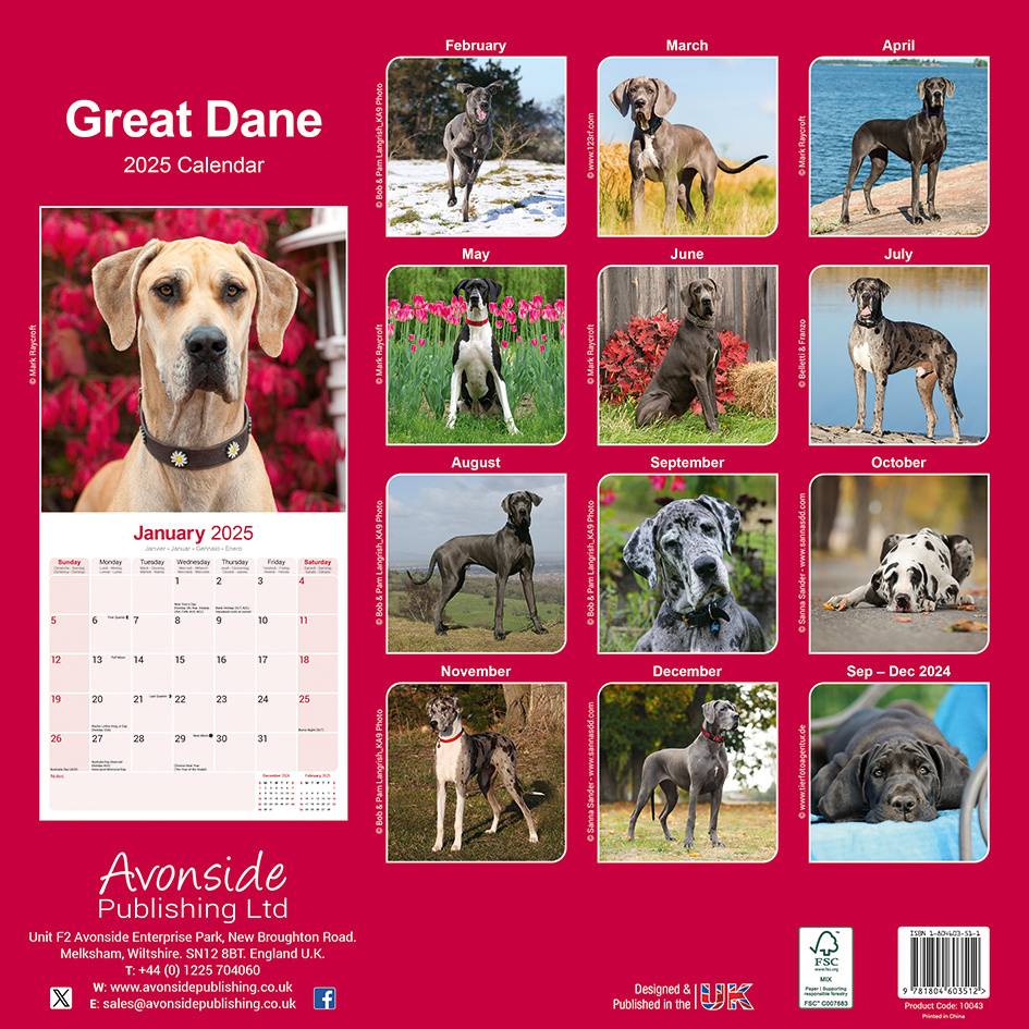 Duitse Dog Kalender 2025 (euro) direct bestellen? Kalenderwinkel.nl