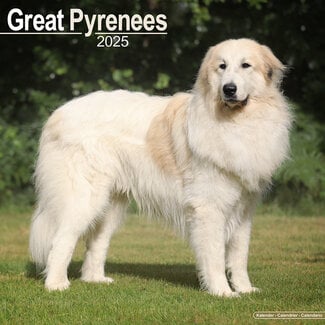 Avonside Pyrenean Mountain Dog Calendar 2025