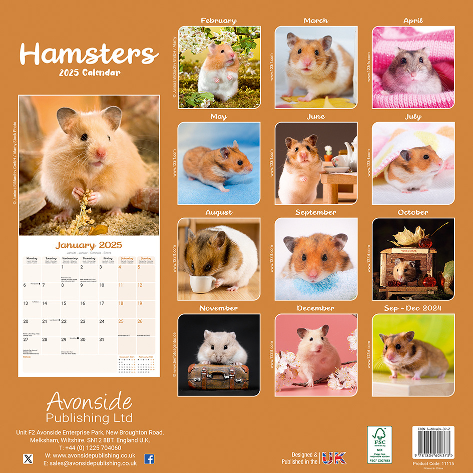 Hamster Calendar 2025 Buy Order online easily Kalenderwinkel.nl