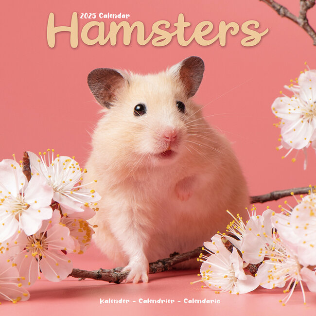 Avonside Calendrier Hamster 2025