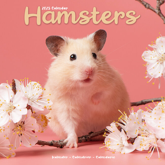 Hamster Calendar 2025