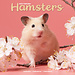Avonside Calendario Hamster 2025