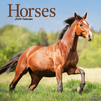 Avonside Horses Calendar 2025