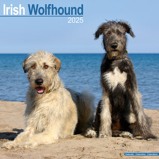 Avonside Calendario Irish Wolfhound 2025
