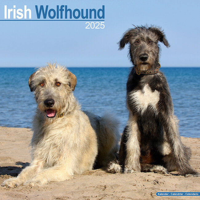 Calendario Irish Wolfhound 2025