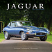 Avonside Calendario Jaguar 2025