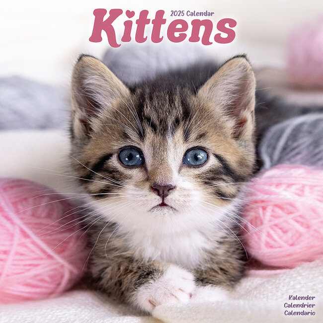 Avonside Kittens Calendar 2025