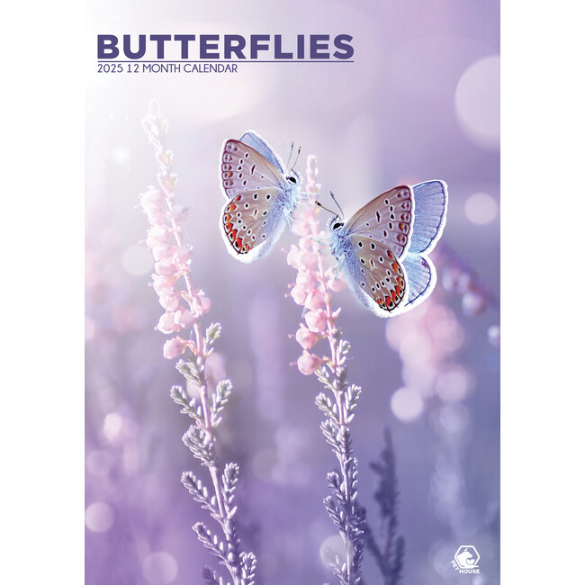 Schmetterling A3 Kalender 2025