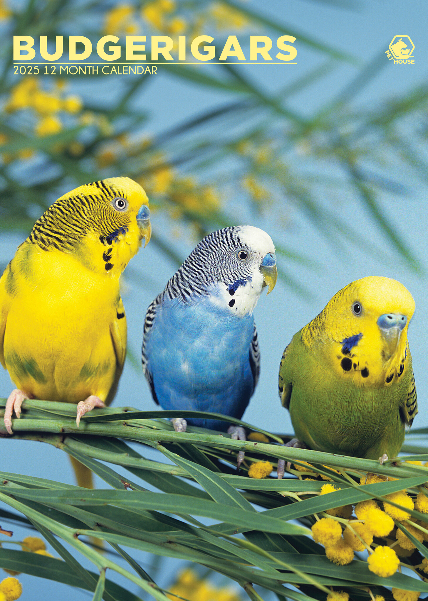 Buy Parakeets A3 Calendar 2025? Order easily and quickly
