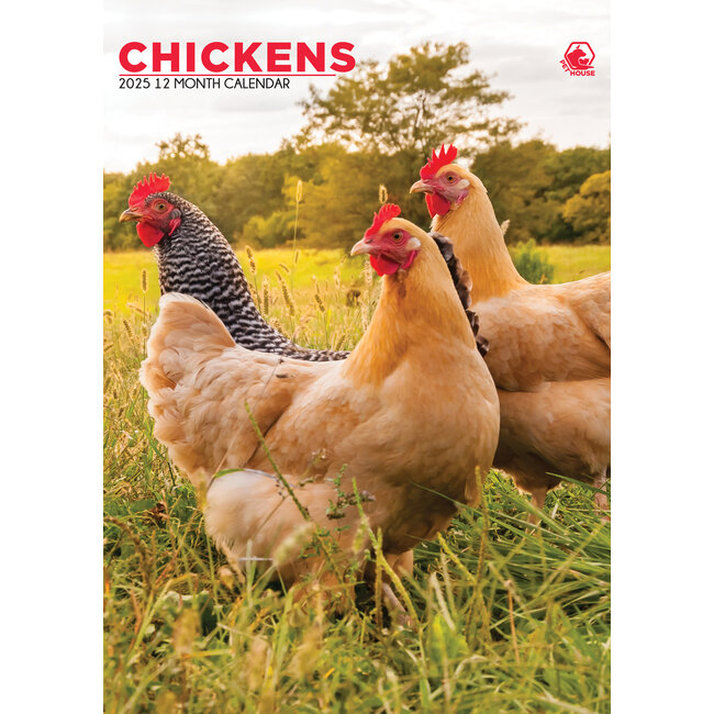 Buying Chickens A3 Calendar 2025? Order online quickly and easily