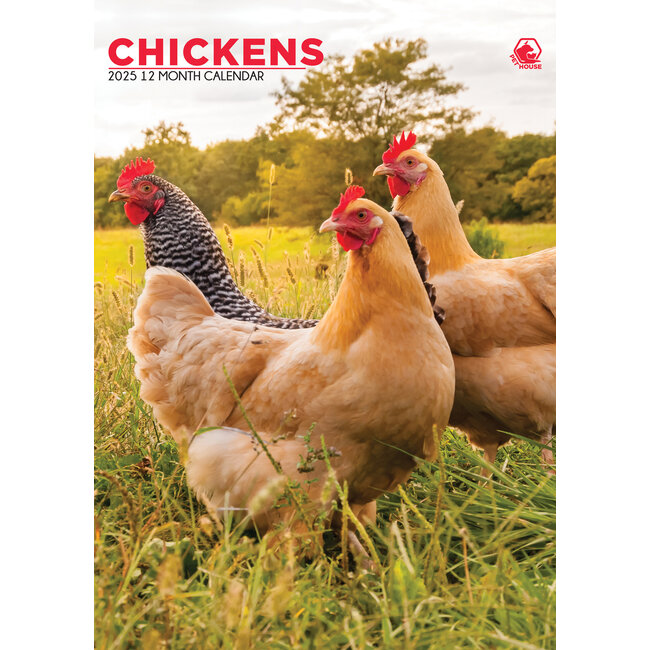 Chickens A3 Calendar 2025