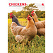 CalendarsRUs Chickens A3 Calendar 2025