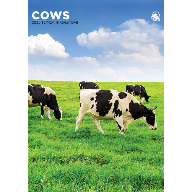 Cows A3 Calendar 2025