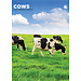 CalendarsRUs Cows A3 Calendar 2025