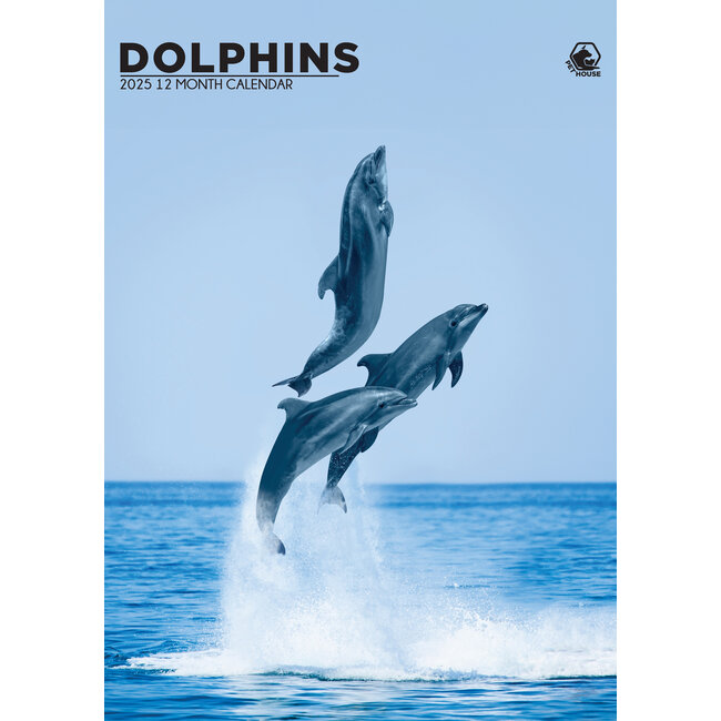 CalendarsRUs Calendario A3 dei delfini 2025