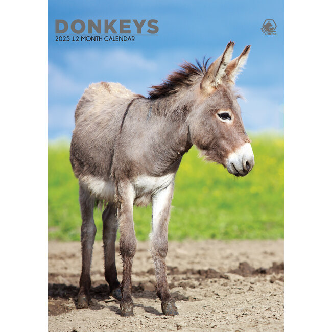 Donkey A3 Calendar 2025