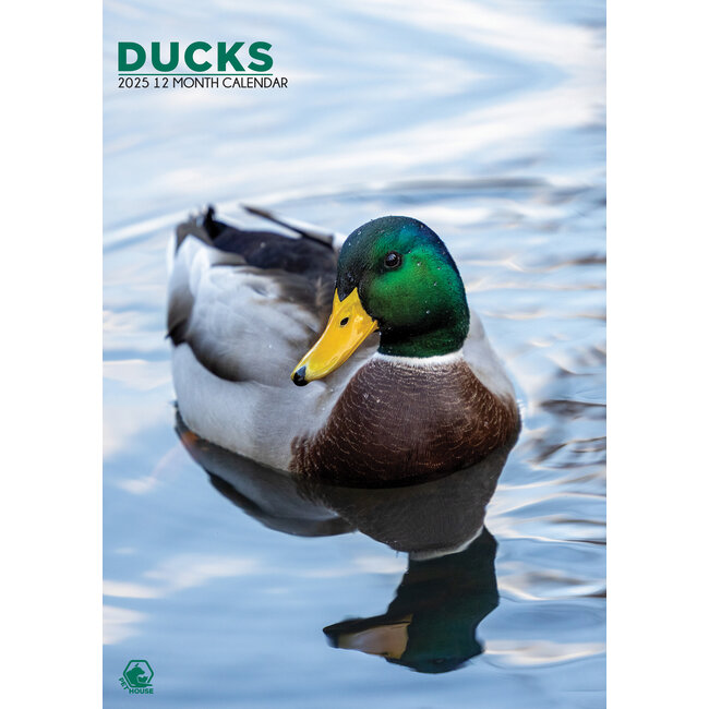 CalendarsRUs Ducks A3 Calendar 2025