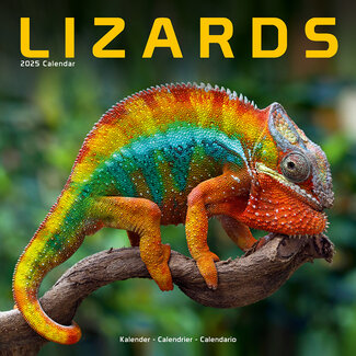 Avonside Hagedissen / Lizards Kalender 2025