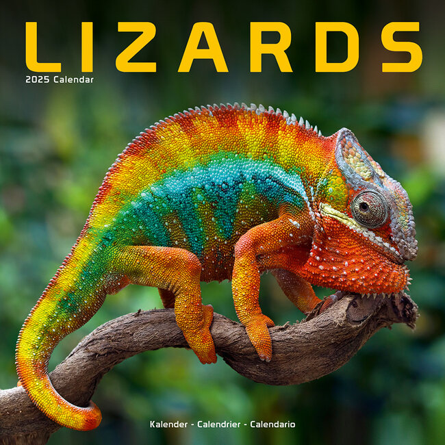 Hagedissen / Lizards Kalender 2025