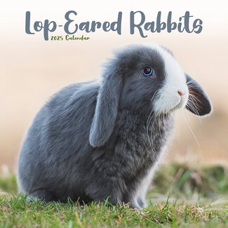 Avonside Pendant Rabbit Calendar 2025