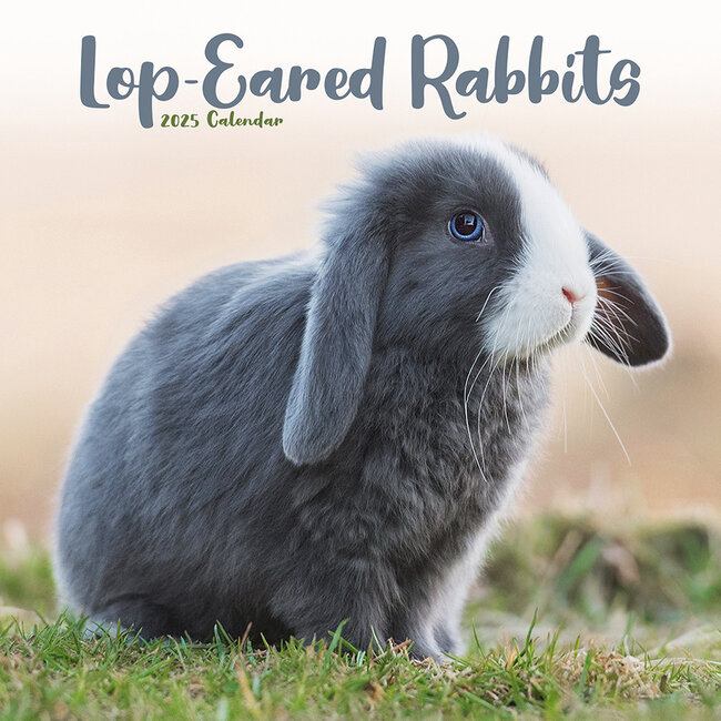 Pendant Rabbit Calendar 2025