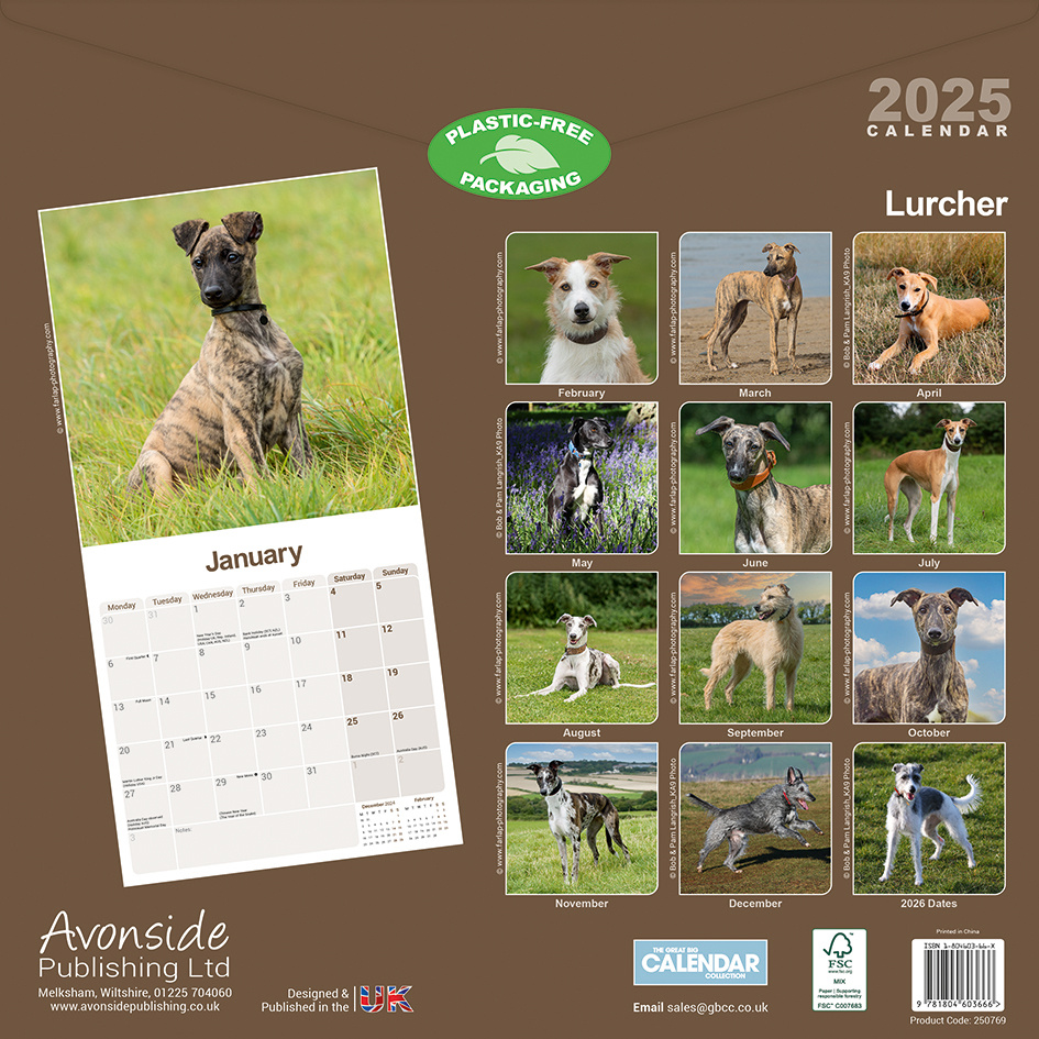 Lurcher Kalender 2025 Kopen? Bestel eenvoudig Online Kalenderwinkel.nl