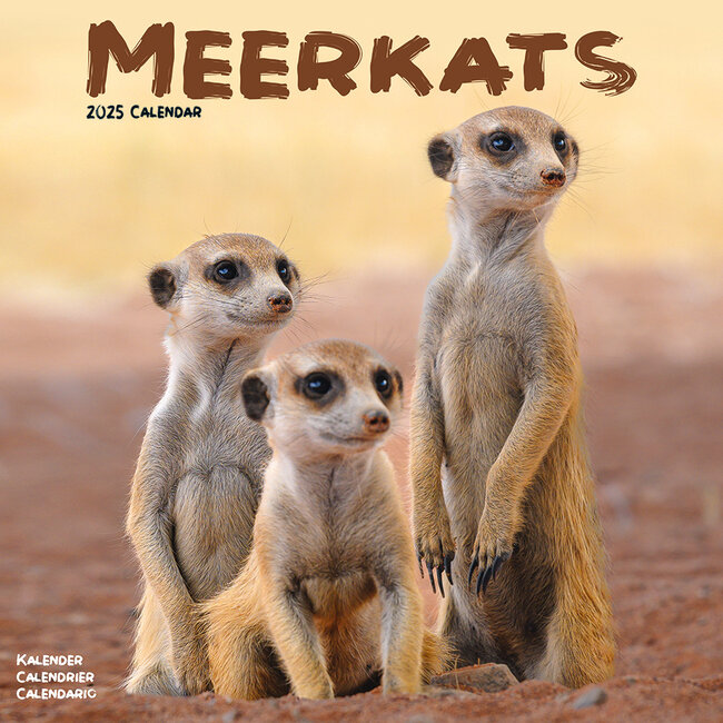 Avonside Meerkats Calendar 2025