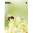 Abeilles Calendrier A3 2025