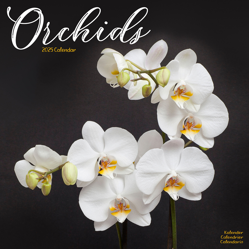 Buying Orchid Calendar 2025? Order online quickly and easily