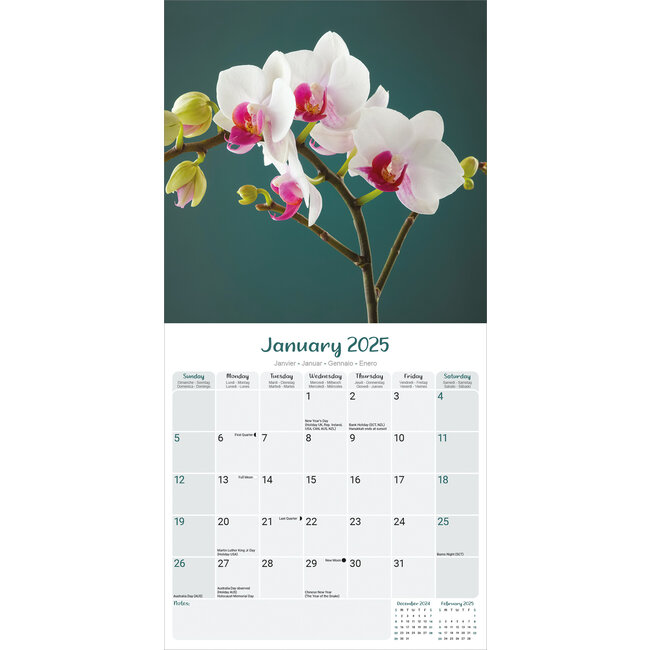 Buying Orchid Calendar 2025? Order online quickly and easily