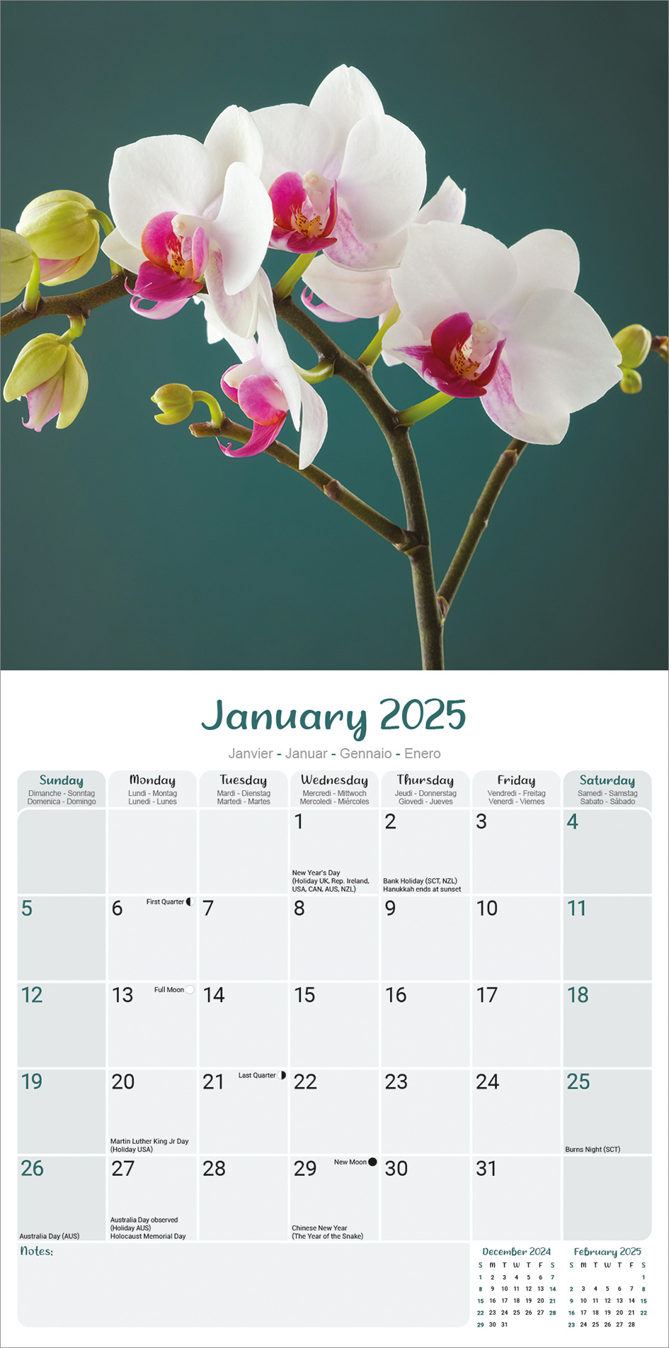 Buying Orchid Calendar 2025? Order online quickly and easily