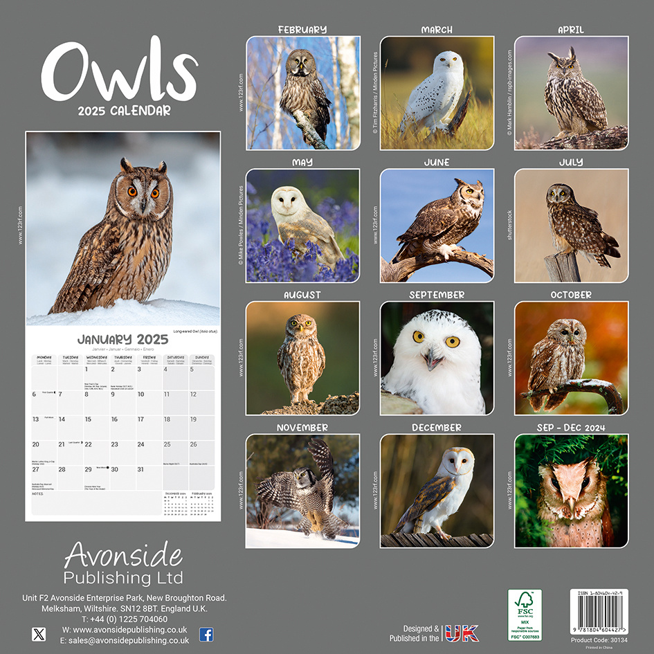 Buying Owls Calendar 2025? Quick and easy online ordering