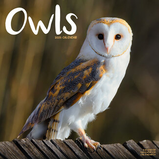 Avonside Owls Calendar 2025