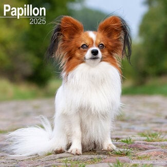 Avonside Calendario Papillon 2025