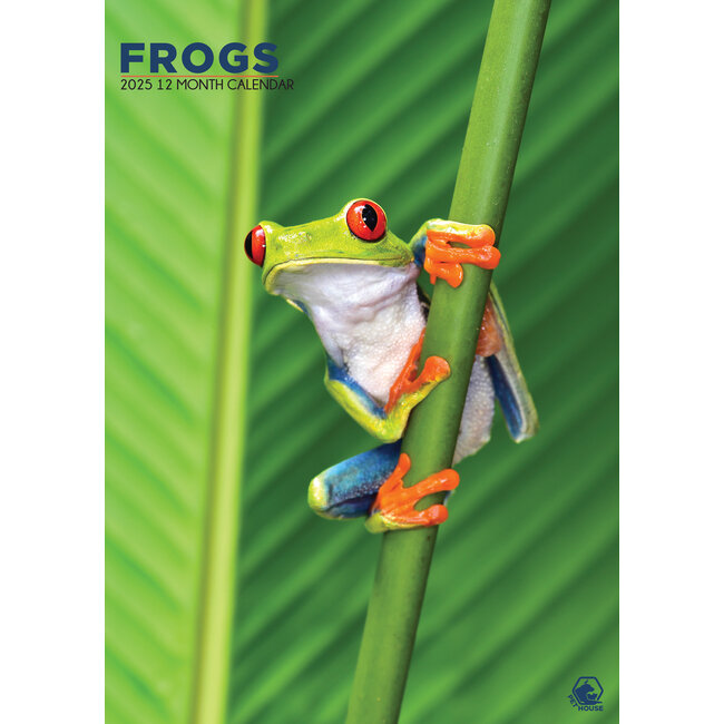 Frogs A3 Calendar 2025