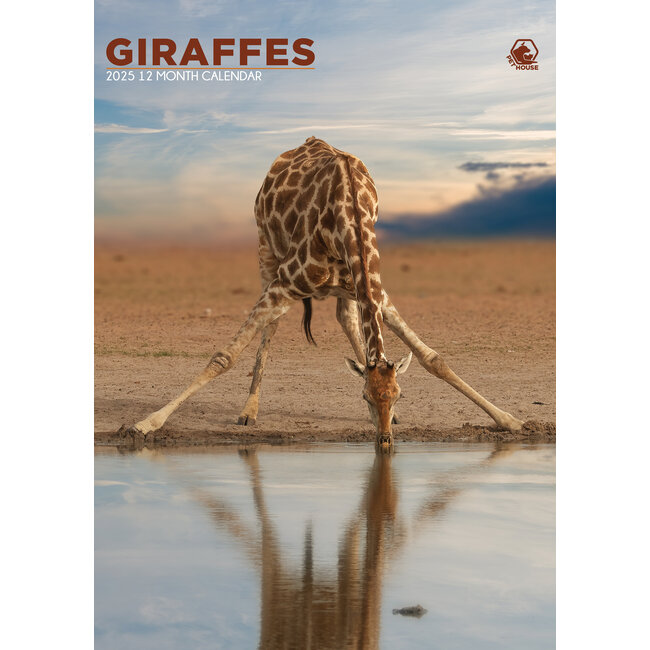 Giraffes A3 Calendar 2025 Kalenderwinkel.nl