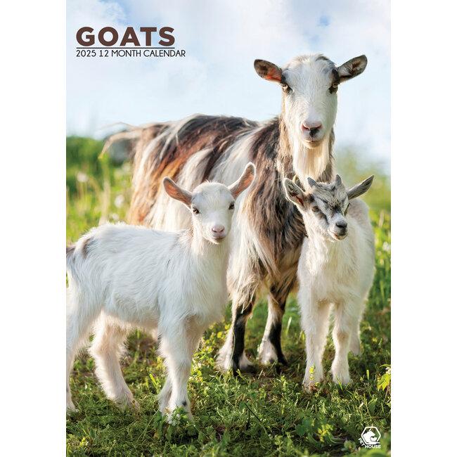 CalendarsRUs Goats A3 Calendar 2025