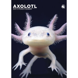 CalendarsRUs Axolotl A3 Calendar 2025