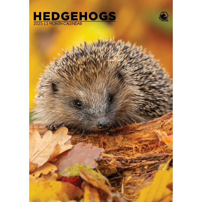 Hedgehogs A3 Calendar 2025