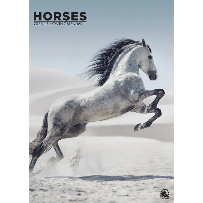 Horses A3 Calendar 2025