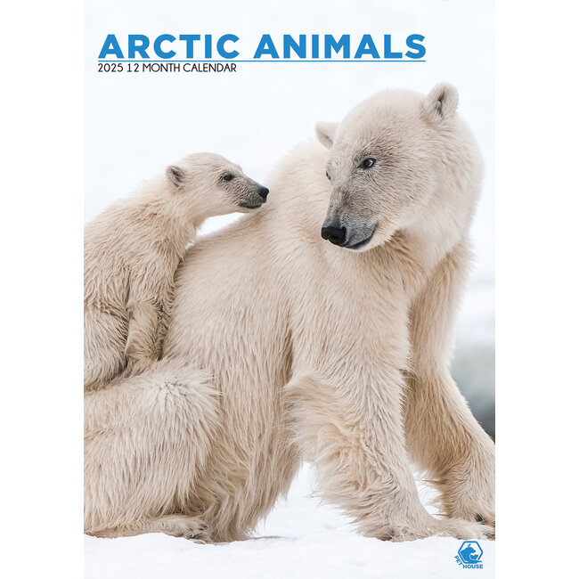 Arktische Tiere A3 Kalender 2025